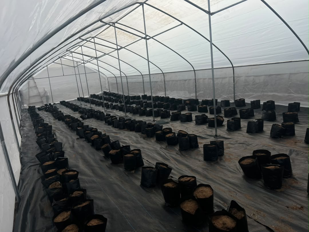 EduFarm activity